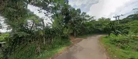 Dijual Murah Tanah Kavling Luas 2 ha di Sukamakmur, Bogor, Jawa Barat