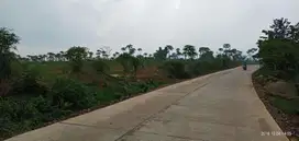 Tanah Gunung Sari Serang Banten Prospektif