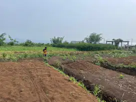 Murah Meriah! Kavling Baleasri Dau  Udara Pegunungan