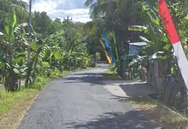 Tanah Pinggir Jalan Bonus Rumah Toko Kolam Ikan
