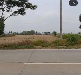 Tanah buat gudang atau pabrik akses kontener