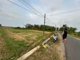 DIJUAL LAHAN PERTANIAN DI REMBANG JAWA TENGAH MURAH BISA NEGO