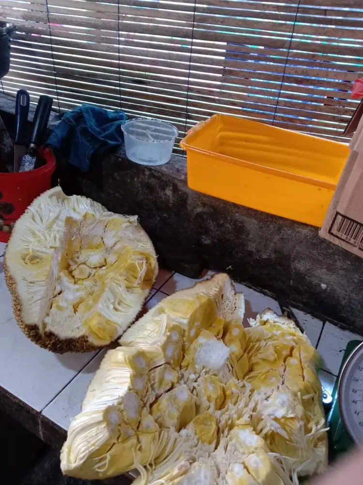 Dibutuhkan karyawan/karyawati untuk mengupas nangka
