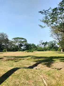 Dijual Kavling Bukit Golf BSD, Hunian Mewah Exclusive