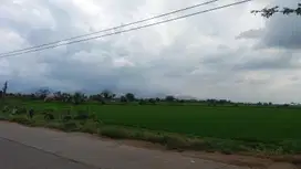 Tanah Izin Industri Rancaekek