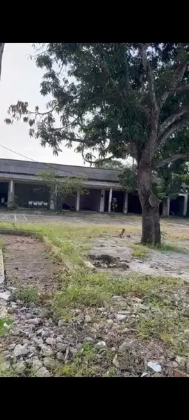Dijual bu tanah selembaran harga masih nego sampai deal