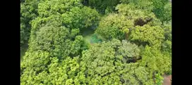 Jual Tanah Di Rancaiyuh, Legok - Tangerang, Banten.