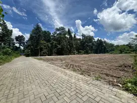 Tanah Belakang Kampus, Cocok Bangun Kos-Kosan