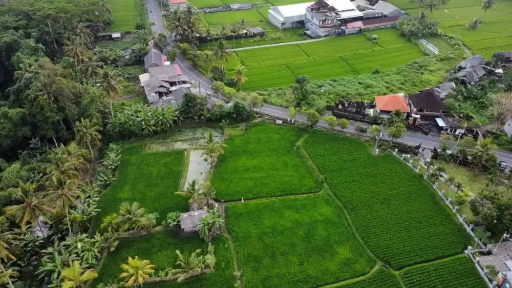 For Sale MURAH Tanah Di Pejeng Gianyar 25 Menit Menuju Ubud