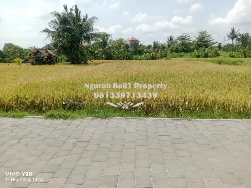 Disewakan Tanah Luas 500 m2 View Sawah Gunung Lingkungan Villa