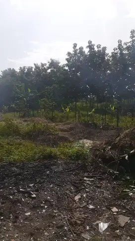 Tanah Jangli Burangrang Dekat Tembalang Undip