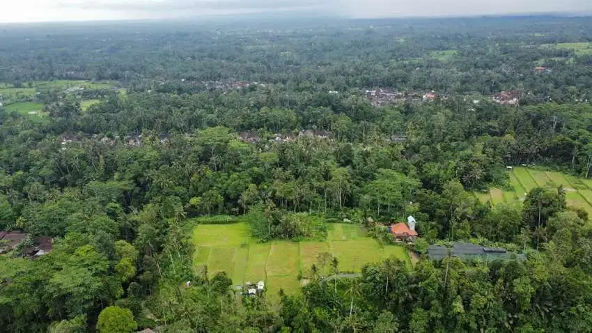 Dijual Tanah 34 are Murah View Sawah dan Sungai Bali
