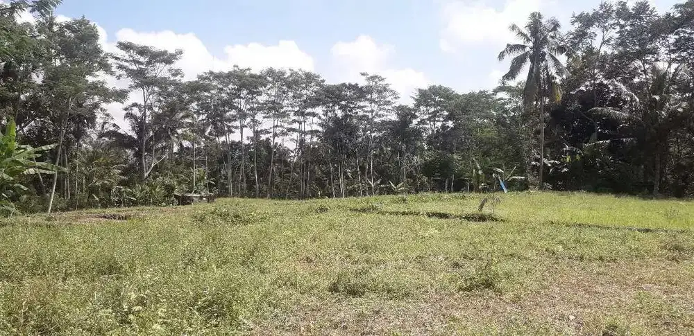 Dijual Tanah Luas 34 are di Tampak Siring Ubud