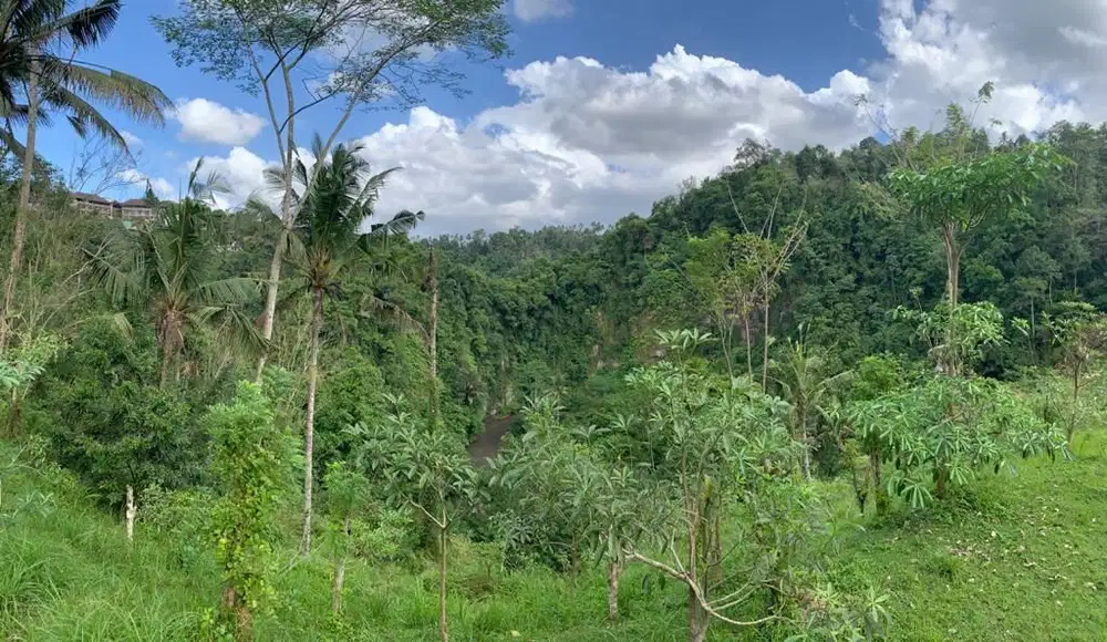 Tanah Strategis Lokasi Payangan