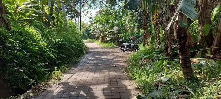Tanah MURAH Di Central Ubud Timur Kawasan Villa & Hotel