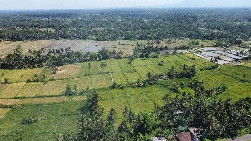 Dijual Tanah Lokasi Strategis Dengan View Sawah dan Sungai di Pejeng Ubud Bali