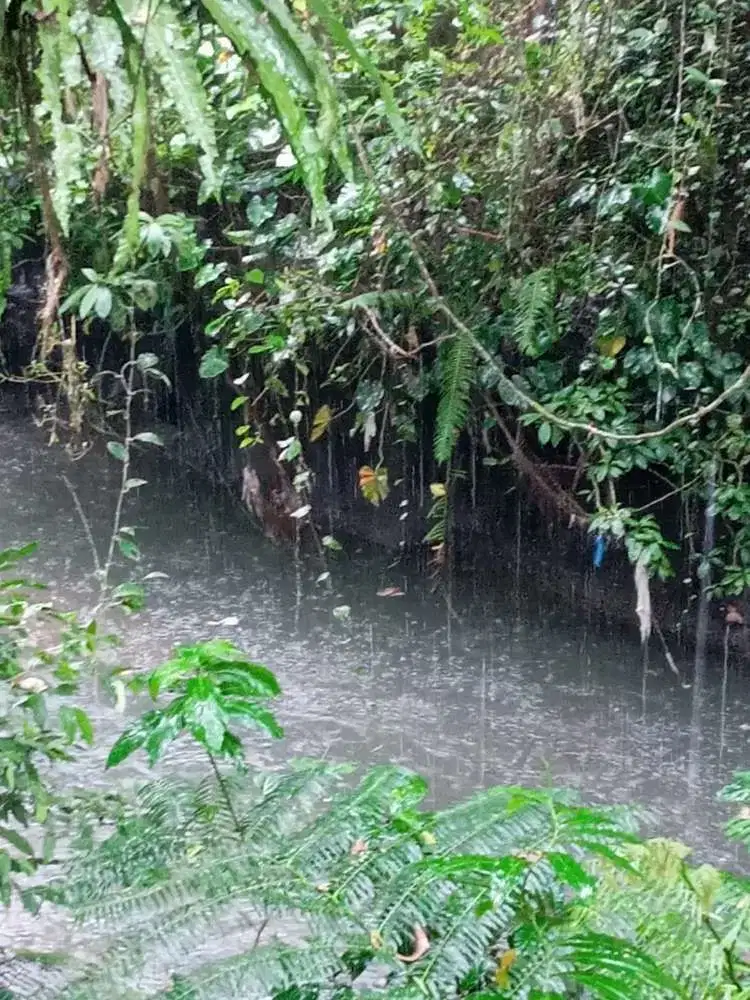 Tanah Dijual Luas 42 Are View Sungai dan Tebing di Ubud Bali