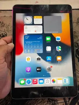 Ipad mini 4 128gb