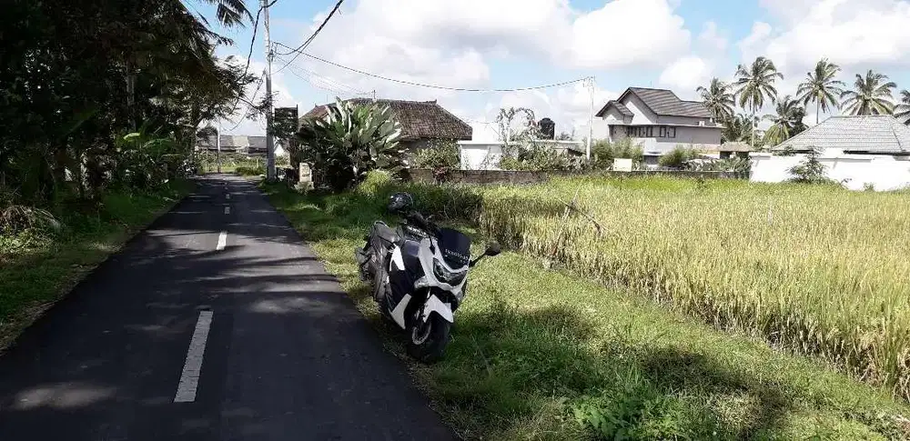 Dijual Tanah Luas 42 are View Sawah di Ubud Bali