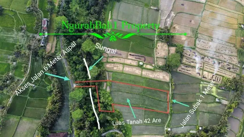 For Sale MURAH Tanah Di Pejeng Kangin 15 Menit Menuju Central Ubud