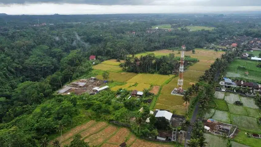 Dijual MURAH Tanah View Persawahan Di Pejeng Kawasan Villa