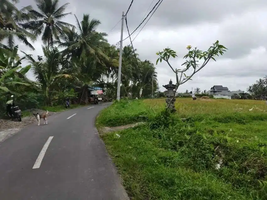 Dijual Tanah Luas 4,74 are View Sawah Kawasan Villa di Ubud
