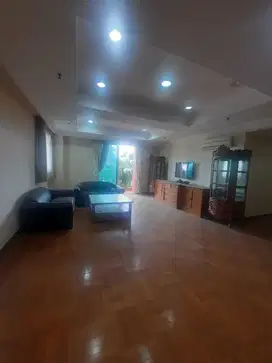 Jual Apartemen Green View Pondok Indah Pet Friendly Type 3BR