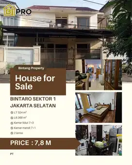 Rumah mewah di Bintaro
