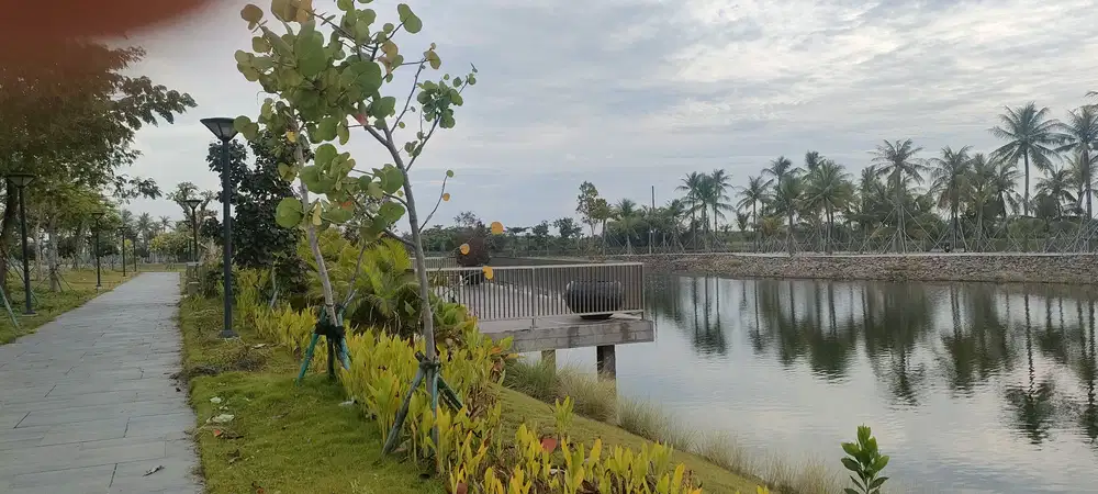 Dijual cepat kavling view danau cantik di pasir putih PIK2