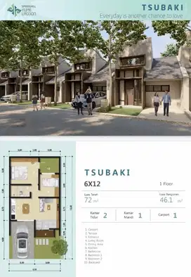 Rumah Panjang Harga Kecil Springhill Yume Lagoon BSD