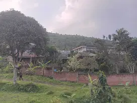 Kavling Murah Untuk Villa 100 Jt-an Free SHM Dekat Bukit Alesano