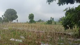 Harga Promo Launching! Tanah Kavling Villa Didekat Curug Nangka