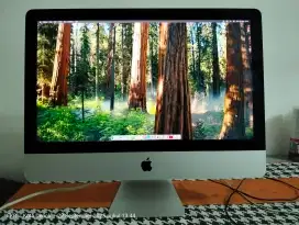Imac A1418 2019 sudah upgrade tapi ada minus