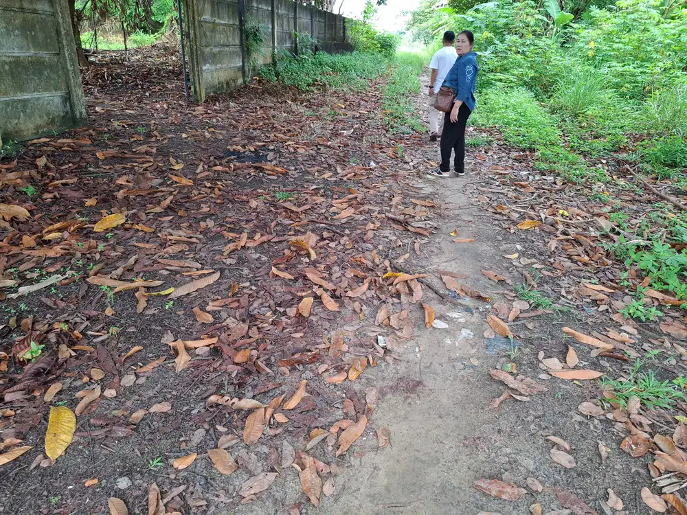 Tanah murah d jalan Naga Sakti stadion utama masuk Jalan Ma'ruf sakti