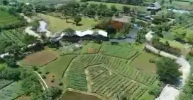 Tanah Luas SHM+ Akses Jalan–Potensi Besar untuk Developer dan Investor