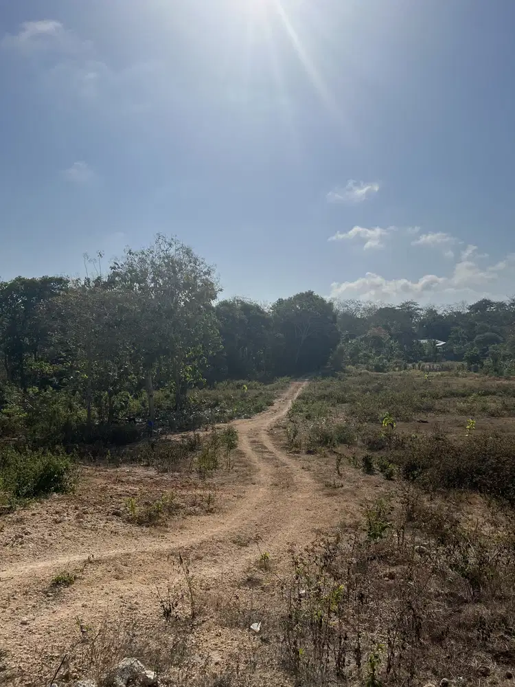 LAND FOR SALE NEAR PANDAWA BEACH