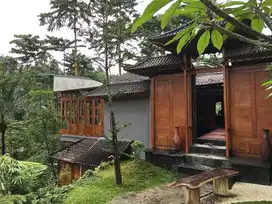 The ULTIMATE Jungle View for Freehold Sale Tegalalang - Ubud