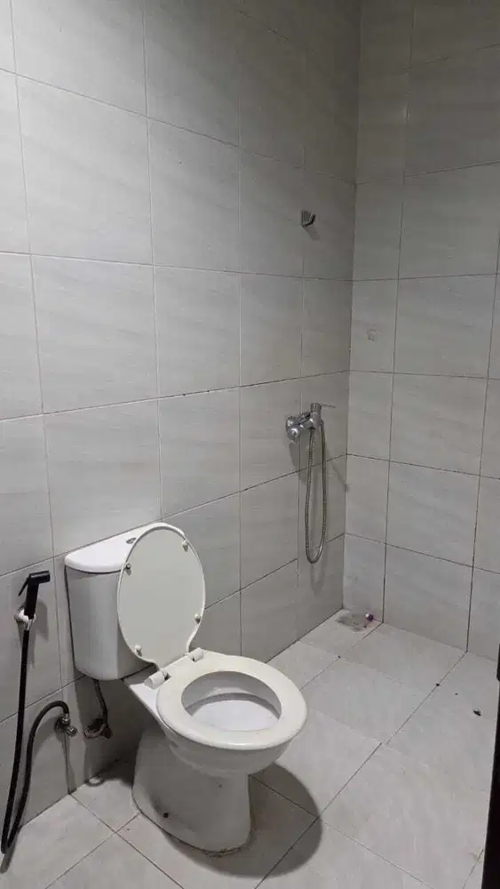 JUAL RUMAH 2 LANTAI ALEGRIA PARK BSD CITY