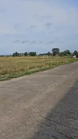 Di Jual Tanah di Kawasan Industri Buditexindo Serang Banten
