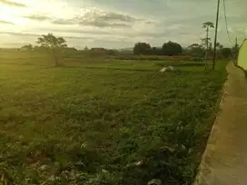 Tanah Gembur 3000 m2 Sekitar Kampus IPB, Bogor