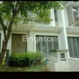 Greenwich di luxmore