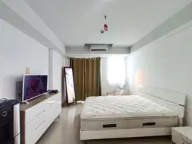 Sewa Tahunan Apartemen Springhill Terrace Tower Sandalwood Type Studio