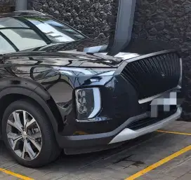 Grill palisade 2021 up