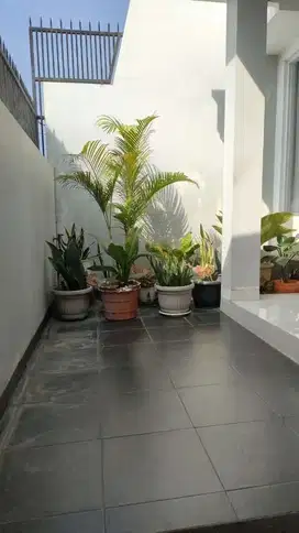 Dijual rumah di kosambi baru