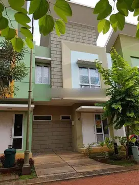 Arcadia Village Paramount Gading serpong