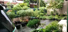 Dijual Rumah 3BR Jl. Ciujung Jakarta Pusat