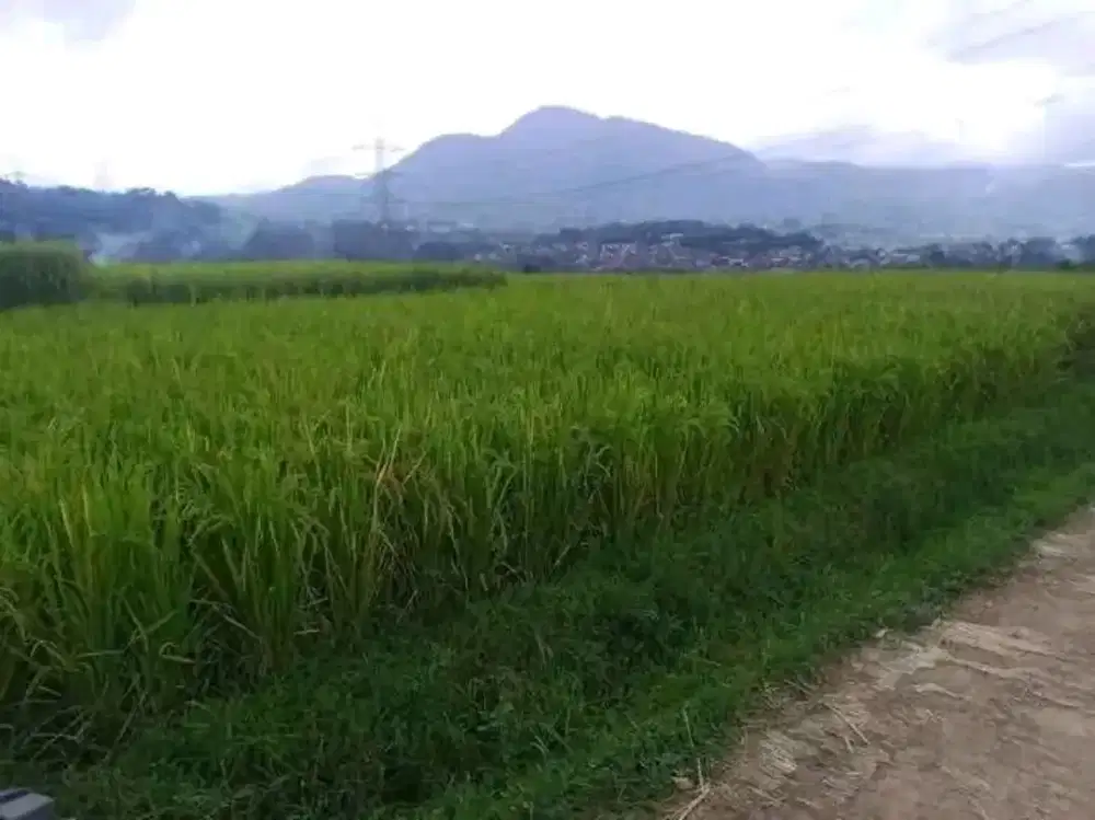 Jasa antar jemput anak area banjaran