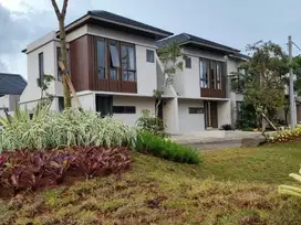 Rumah Gajah Harga Semut Springhill Yume Lagoon