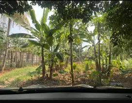 Dijual/disewa Tanah sebelah Taman Tekno BSD