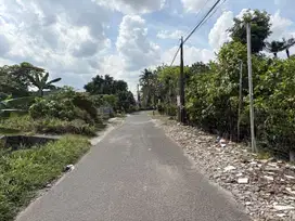 Maguwoharjo; Peruntukkan Kos; SHM